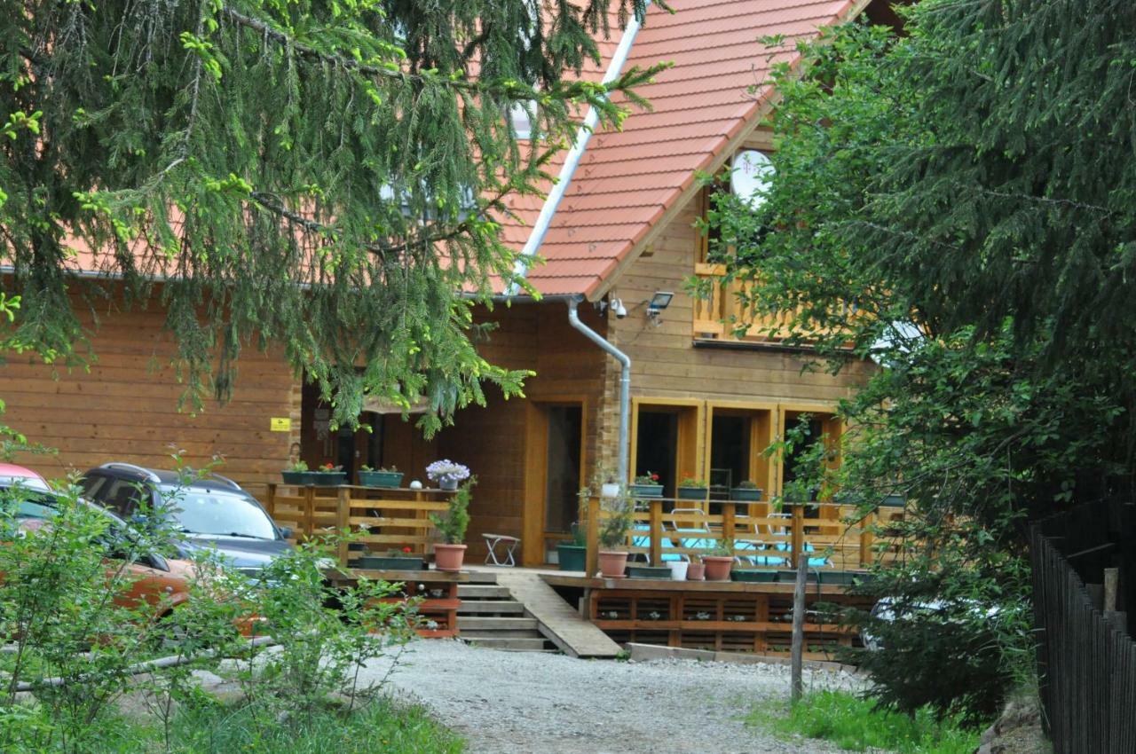 Mofetta Panzio Bed & Breakfast Sintimbru-Bai Luaran gambar